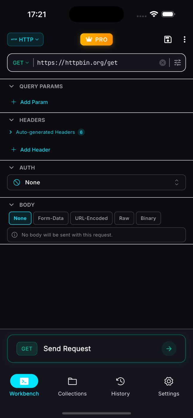 ReqPad request workbench on iPhone: building a GET request with params, headers, auth and body
